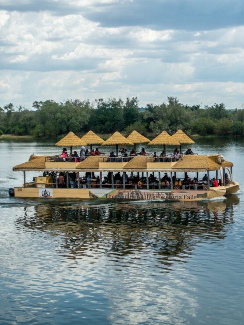 Lion King Boat Cruise